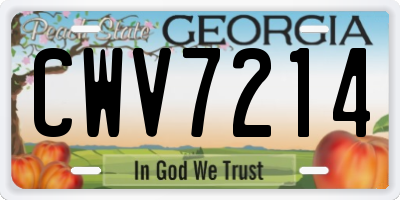GA license plate CWV7214