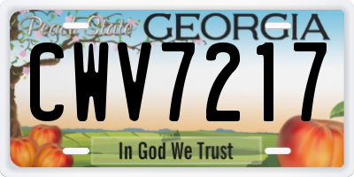 GA license plate CWV7217