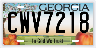 GA license plate CWV7218