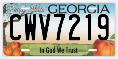 GA license plate CWV7219