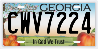 GA license plate CWV7224