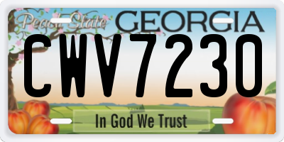 GA license plate CWV7230