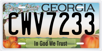 GA license plate CWV7233