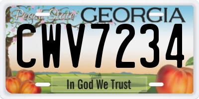 GA license plate CWV7234