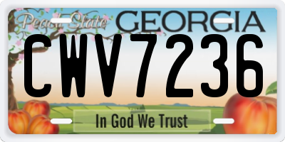 GA license plate CWV7236