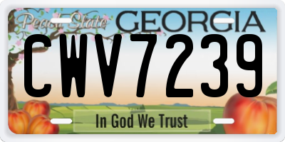 GA license plate CWV7239