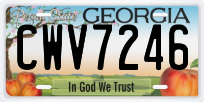 GA license plate CWV7246