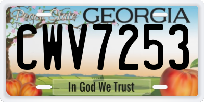 GA license plate CWV7253