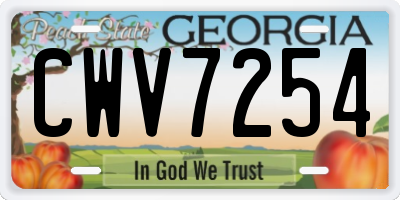 GA license plate CWV7254