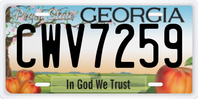 GA license plate CWV7259