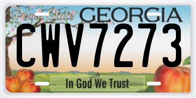 GA license plate CWV7273