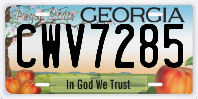 GA license plate CWV7285