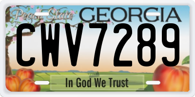 GA license plate CWV7289