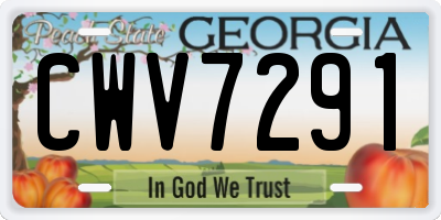 GA license plate CWV7291