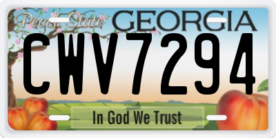 GA license plate CWV7294