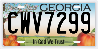 GA license plate CWV7299