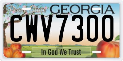 GA license plate CWV7300