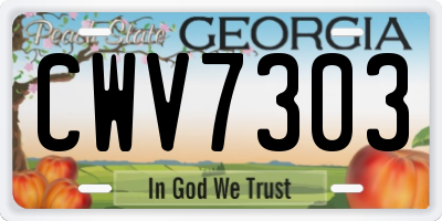 GA license plate CWV7303