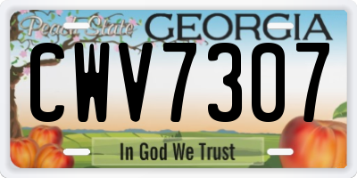 GA license plate CWV7307