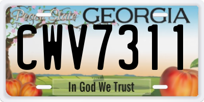 GA license plate CWV7311
