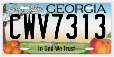 GA license plate CWV7313