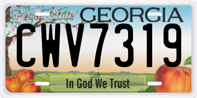 GA license plate CWV7319