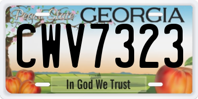 GA license plate CWV7323