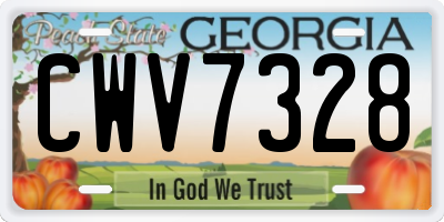 GA license plate CWV7328
