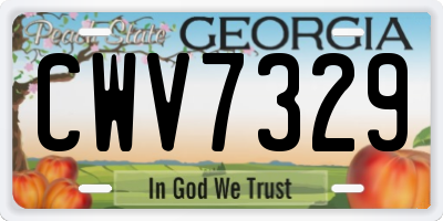 GA license plate CWV7329