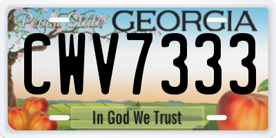 GA license plate CWV7333