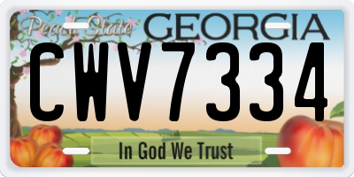 GA license plate CWV7334