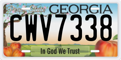 GA license plate CWV7338