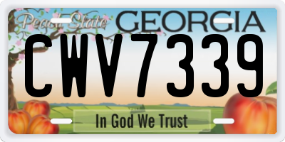 GA license plate CWV7339