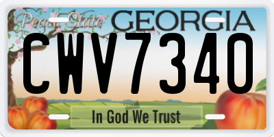 GA license plate CWV7340