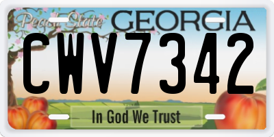 GA license plate CWV7342