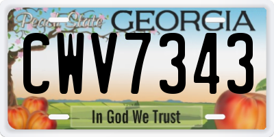 GA license plate CWV7343