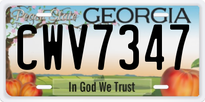GA license plate CWV7347