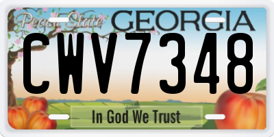 GA license plate CWV7348