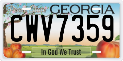 GA license plate CWV7359