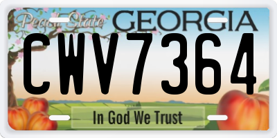 GA license plate CWV7364