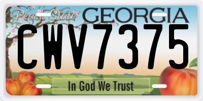 GA license plate CWV7375