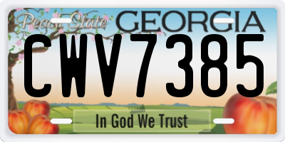 GA license plate CWV7385