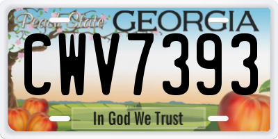 GA license plate CWV7393