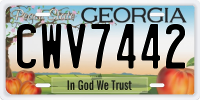 GA license plate CWV7442