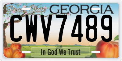 GA license plate CWV7489