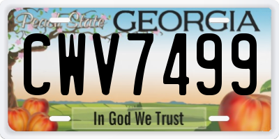 GA license plate CWV7499