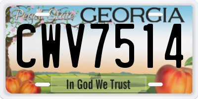 GA license plate CWV7514