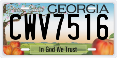 GA license plate CWV7516