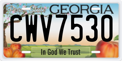 GA license plate CWV7530
