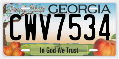GA license plate CWV7534